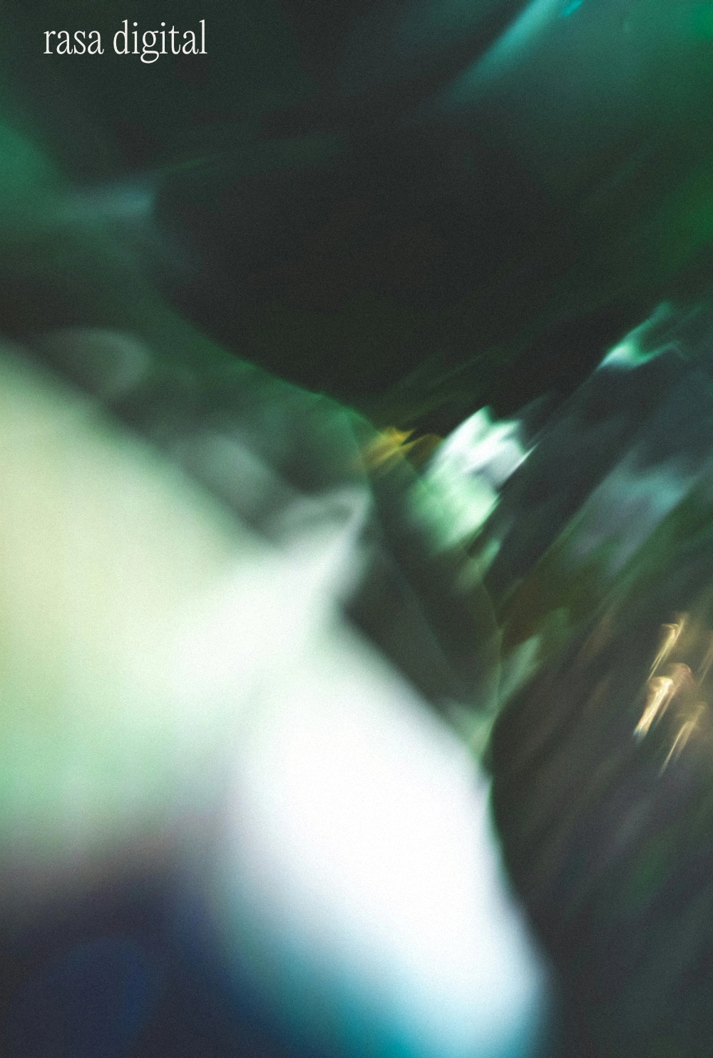 Rasa Digital interface and digital-texture composition